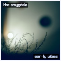 The Amygdala - Ear-ly Vibes BFW recordings netlabel