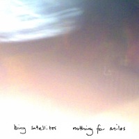 Bing Satellites Nothing For Miles BFW recordings netlabel