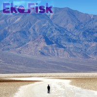 Eko_fisk - Badwater - BFW recordings netlabel