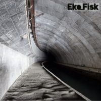 Eko_Fisk - The Wait BFW recordings netlabel