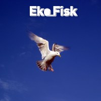 Eko_Fisk - Treeline BFW recordings netlabel