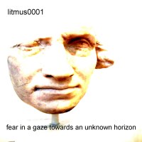 litmus0001 - fear in a gaze towards an unknown horizon - BFW recordings netlabel
